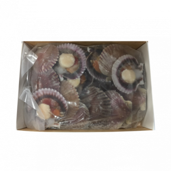 Мясо гребінця у мушлі 10/20 