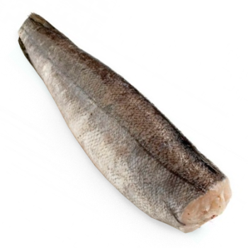 Хек тушка Аргентина (255-500)